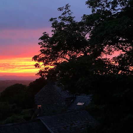 Dyffryn Ardudwy The Old Farmhouse B&B מראה חיצוני תמונה