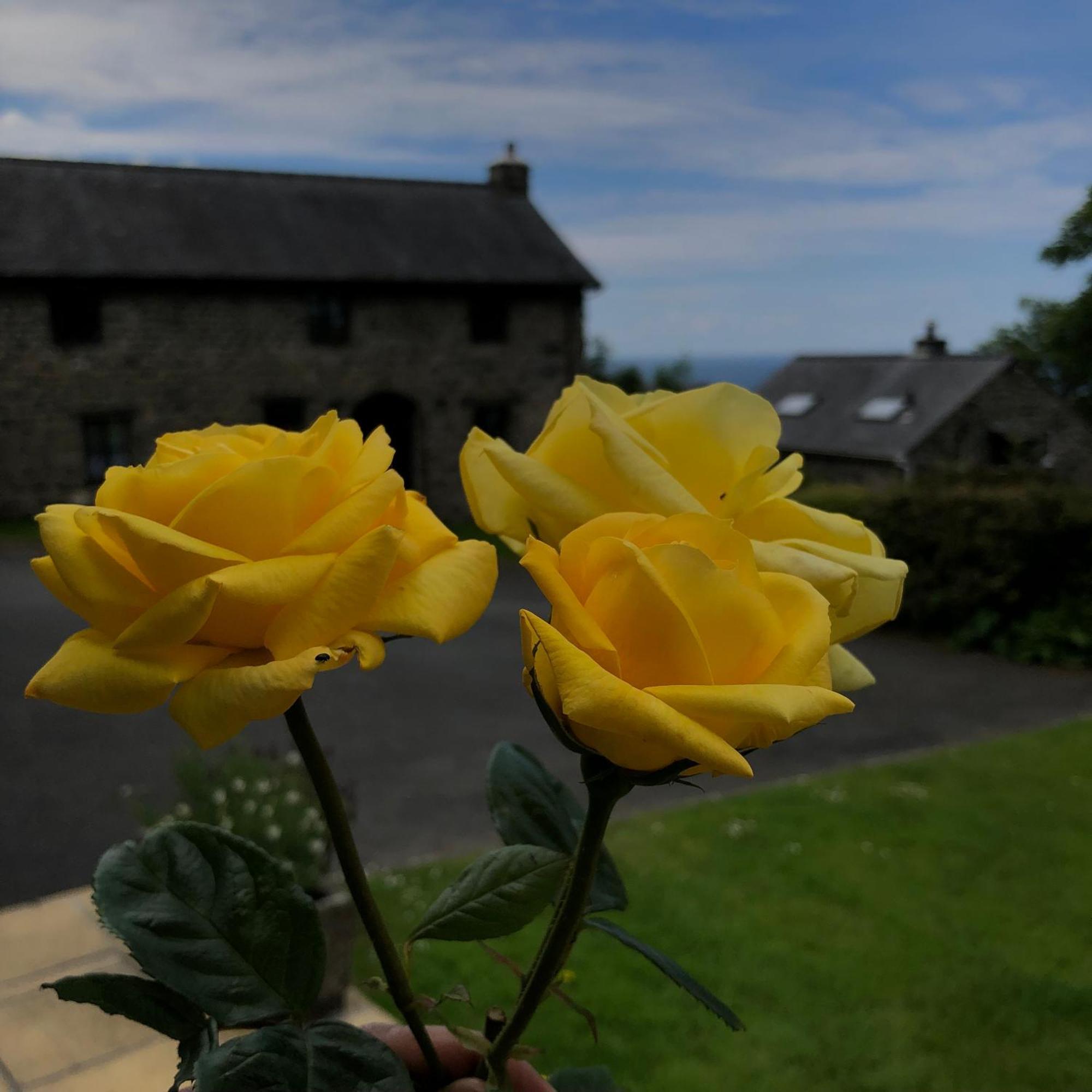 Dyffryn Ardudwy The Old Farmhouse B&B מראה חיצוני תמונה