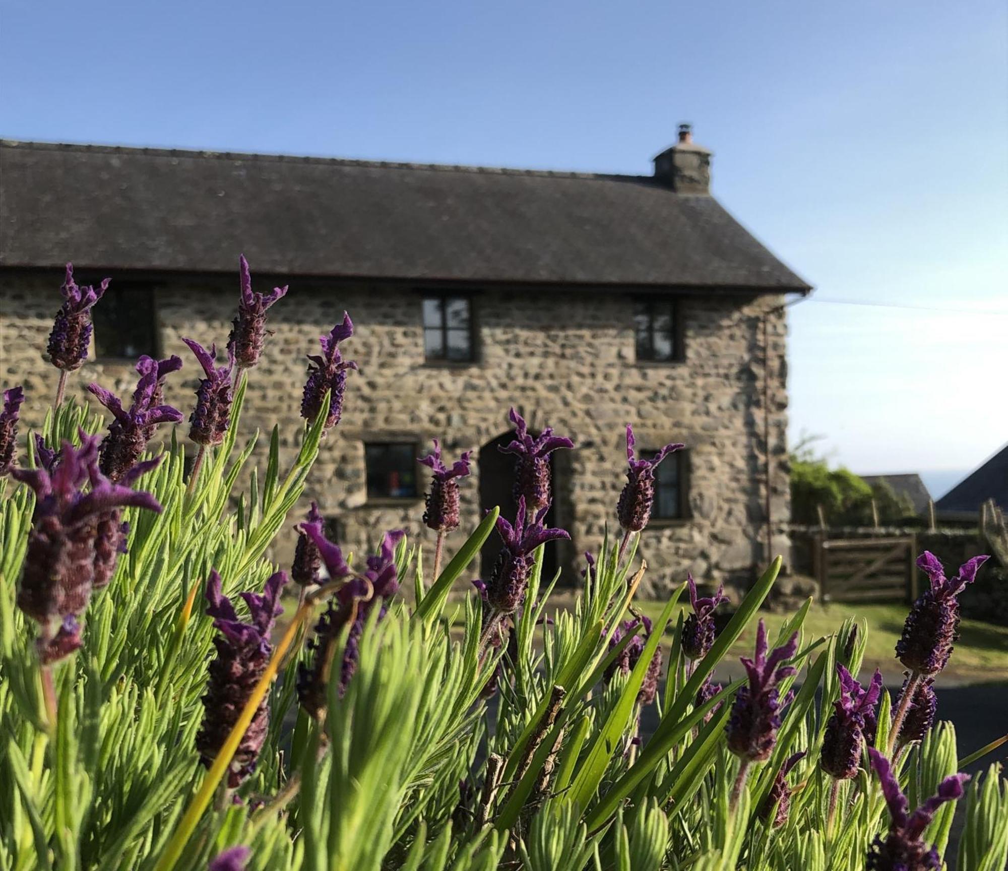 Dyffryn Ardudwy The Old Farmhouse B&B מראה חיצוני תמונה